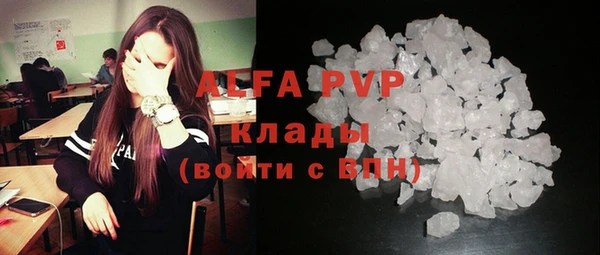 ГАЛЛЮЦИНОГЕННЫЕ ГРИБЫ Вяземский