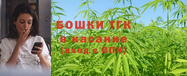 гидропоника Горняк