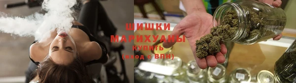 гидропоника Горняк