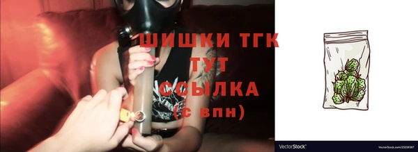 ГАЛЛЮЦИНОГЕННЫЕ ГРИБЫ Горно-Алтайск