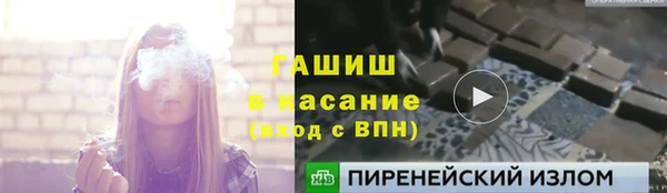 ГАЛЛЮЦИНОГЕННЫЕ ГРИБЫ Горно-Алтайск