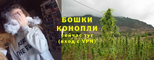 гидропоника Горняк