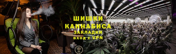 ГАЛЛЮЦИНОГЕННЫЕ ГРИБЫ Вяземский