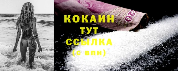 ГАЛЛЮЦИНОГЕННЫЕ ГРИБЫ Вяземский