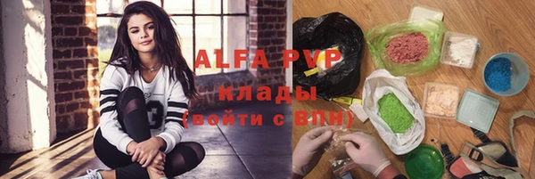 ГАЛЛЮЦИНОГЕННЫЕ ГРИБЫ Горно-Алтайск