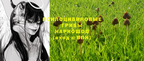 ГАЛЛЮЦИНОГЕННЫЕ ГРИБЫ Вяземский