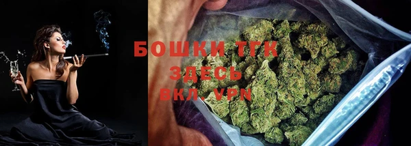 гидра Горнозаводск