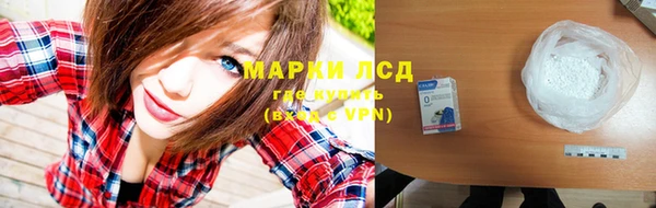 ГАЛЛЮЦИНОГЕННЫЕ ГРИБЫ Горно-Алтайск